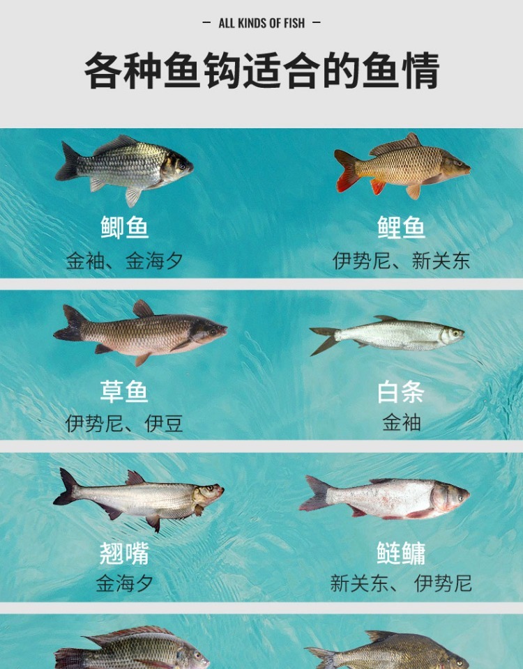 fybc