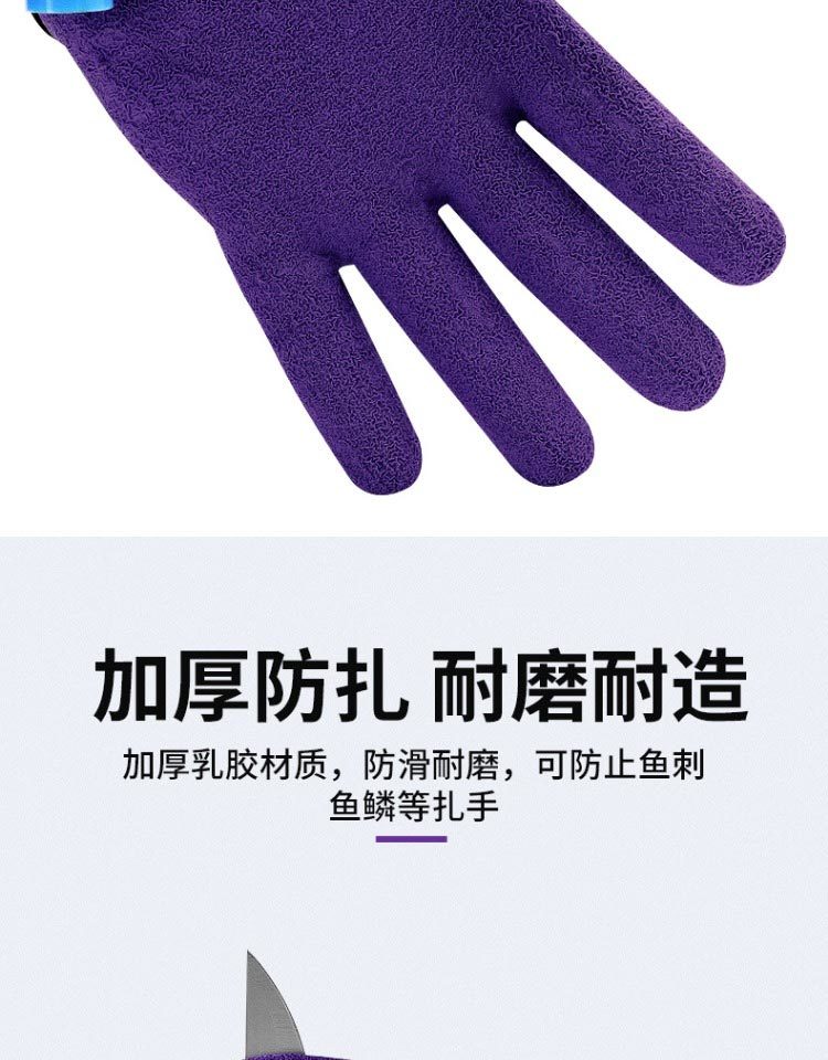 xq