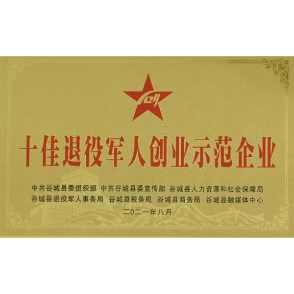 十佳退役軍人創(chuàng)業(yè)示范單位