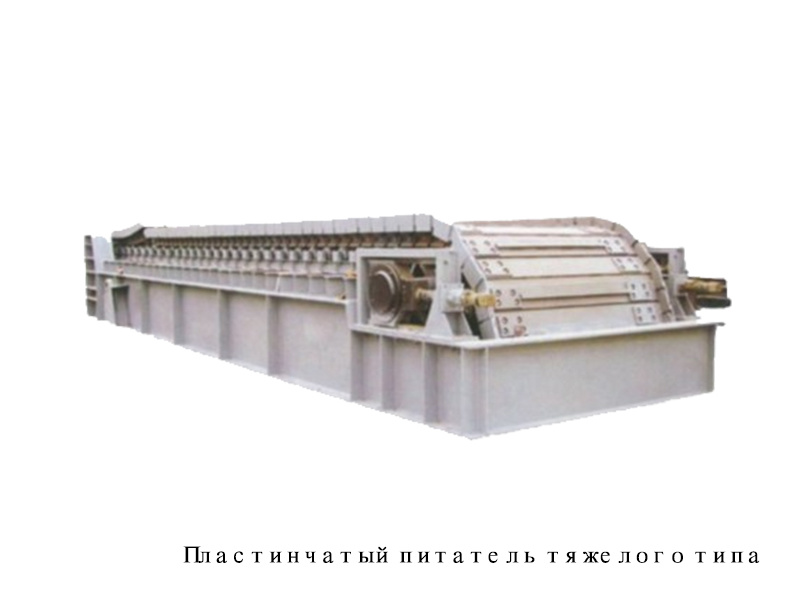 ПЛАСТИНЧАТЫЙ ПИТАТЕЛЬ