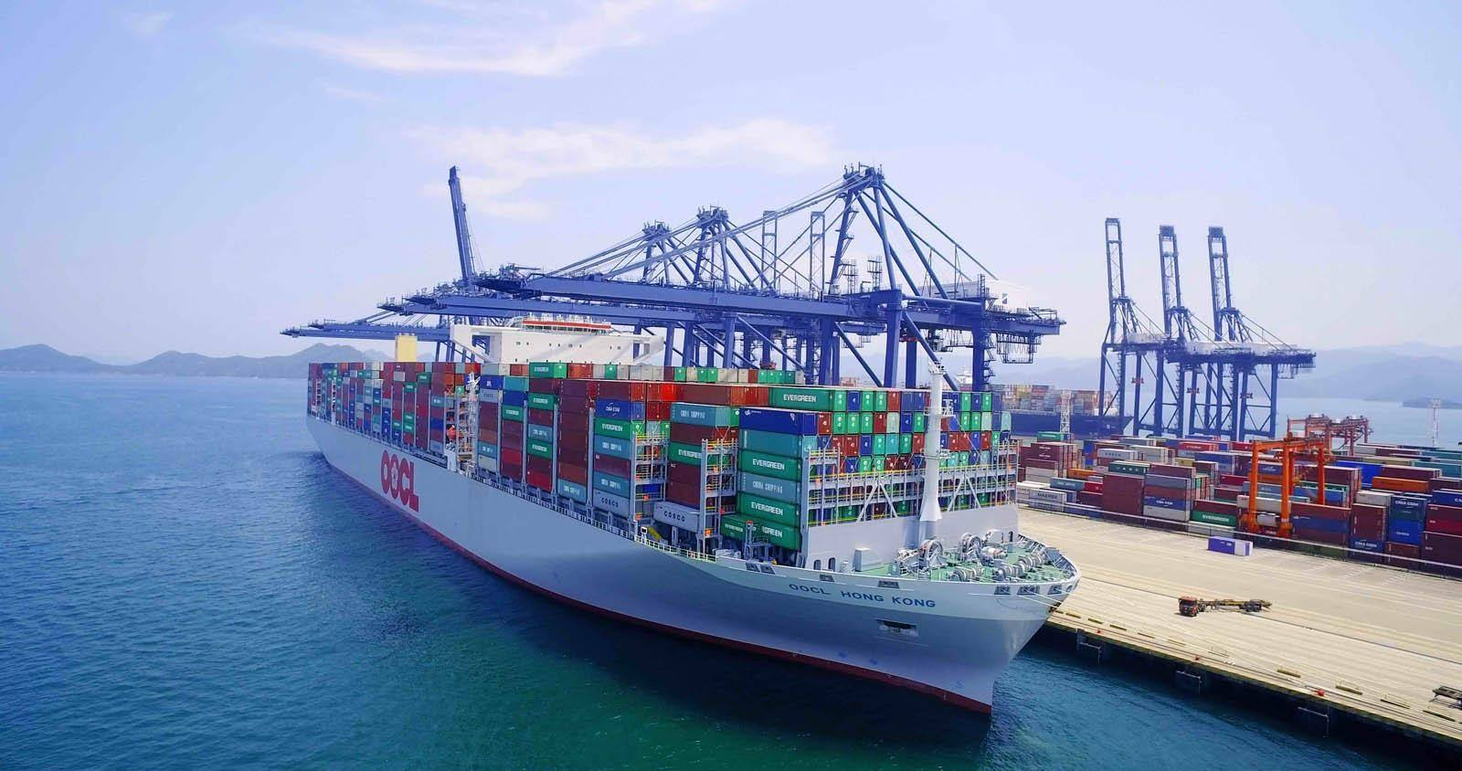 china FCL sea freight service