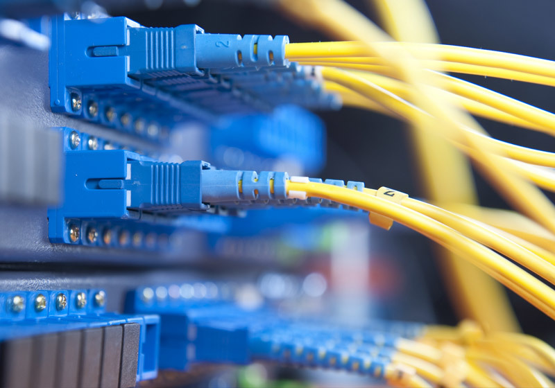 Fiber optic jumper