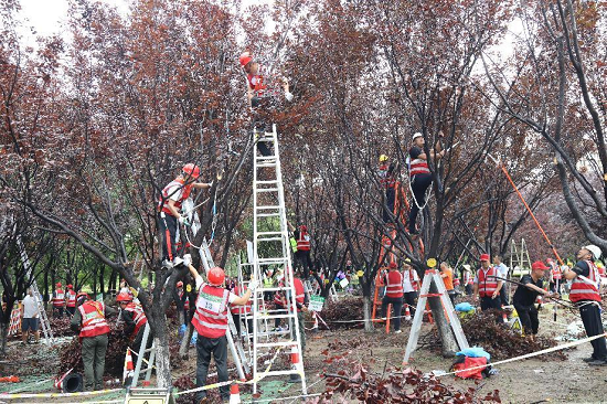 临沂市第二届城市精细化管理园林绿化行业技能竞赛成功举办