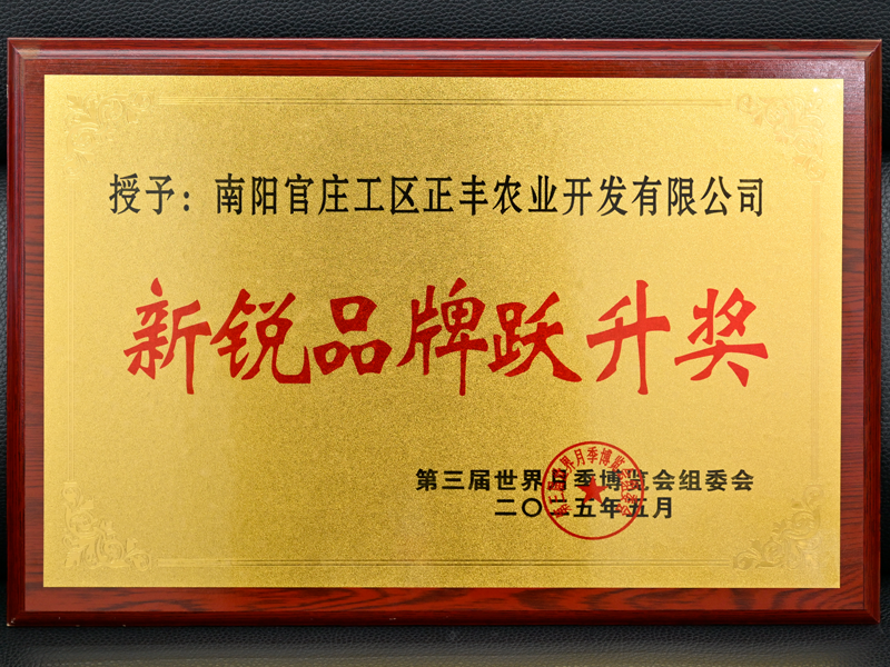 新銳品牌躍升獎(jiǎng) 新銳品牌躍升獎(jiǎng)