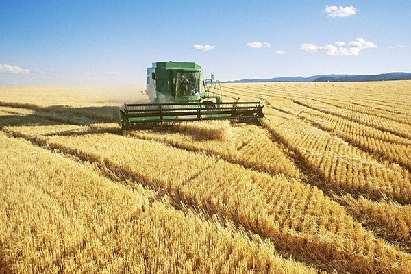 AGRICULTURE