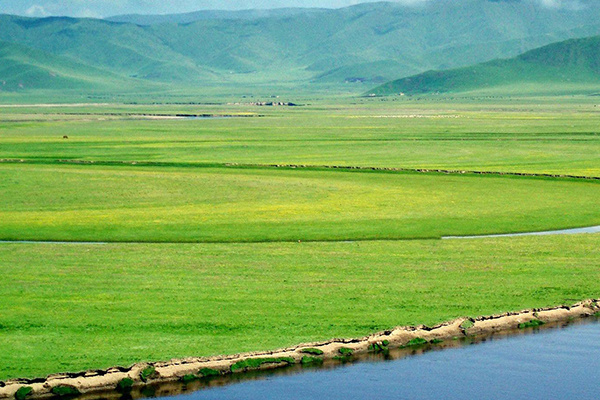 AGRICULTURE
