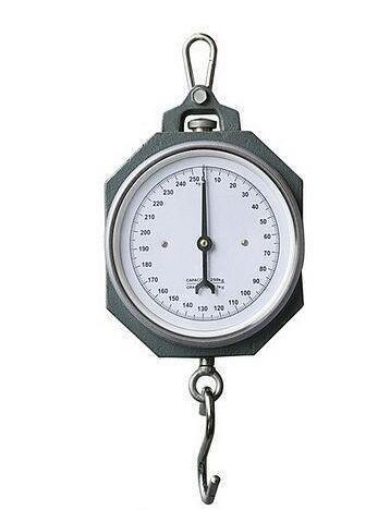 How to read the scale