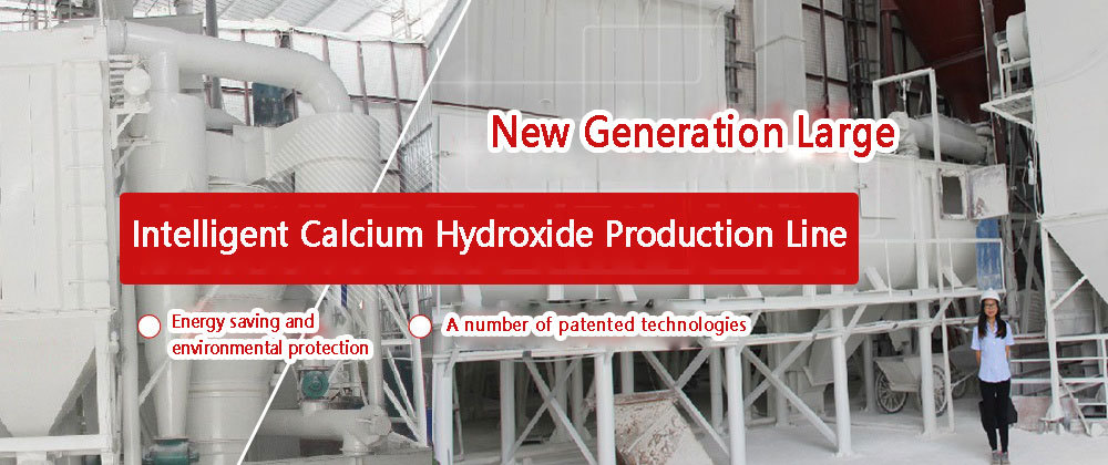 Lime digester