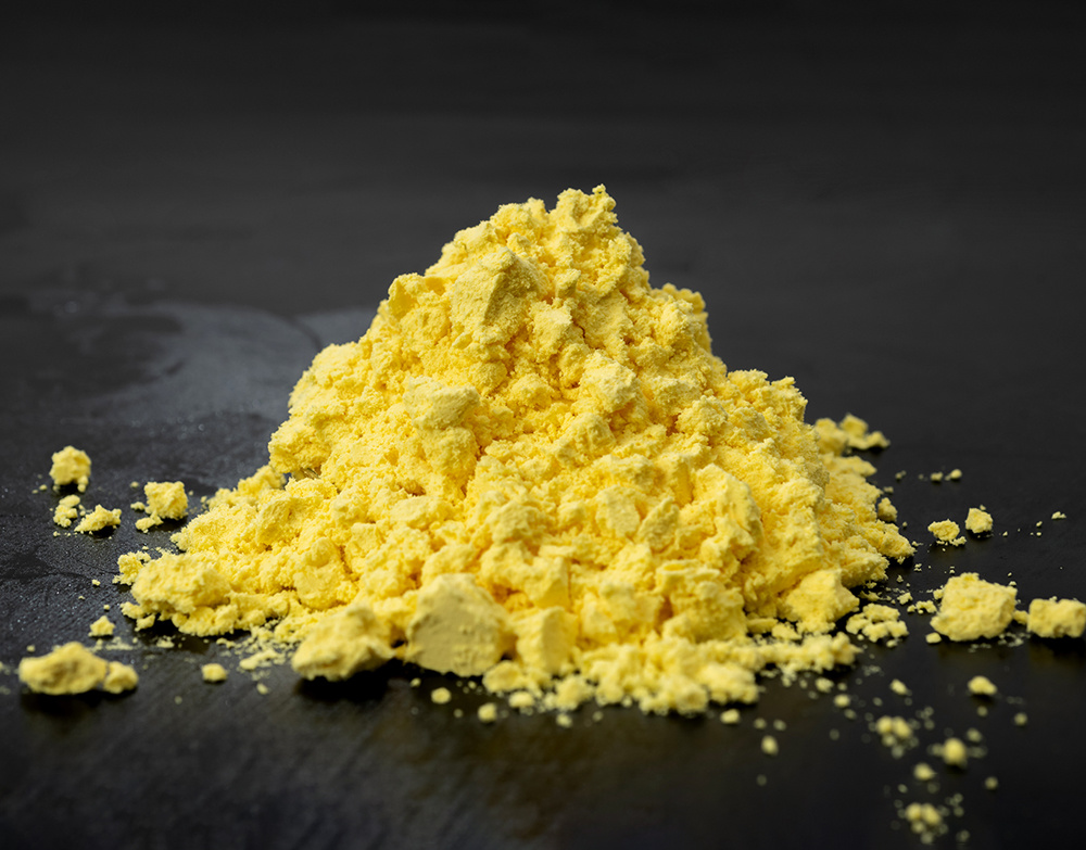 Egg Yolk Powder