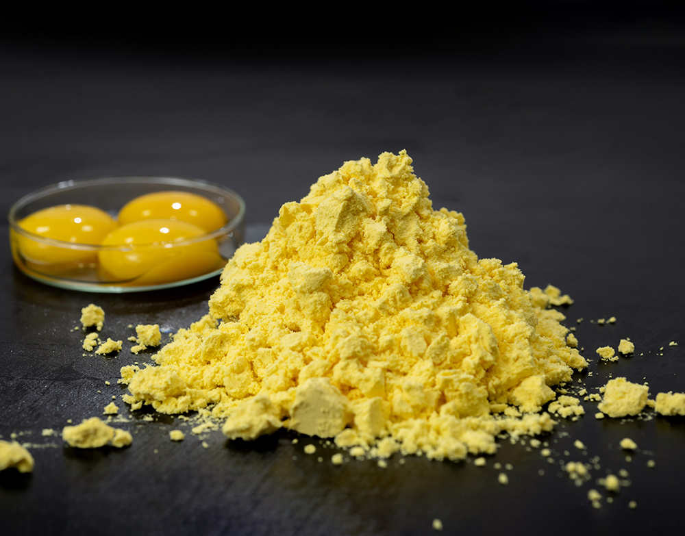 Egg Yolk Powder