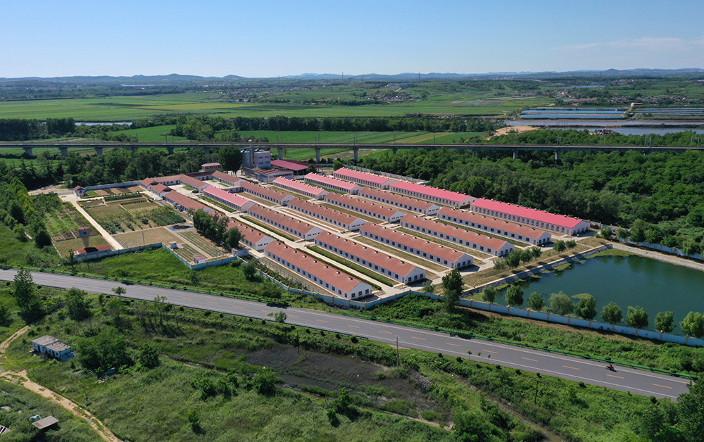 View of Dalian aquaculture base