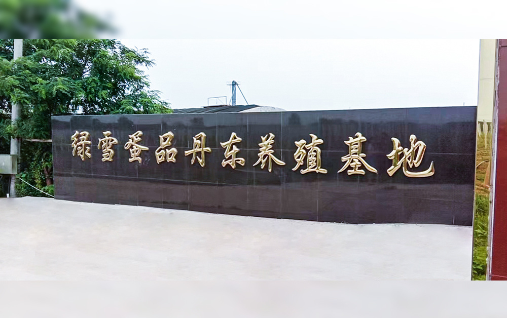 Lvxue Dandong Culture Base