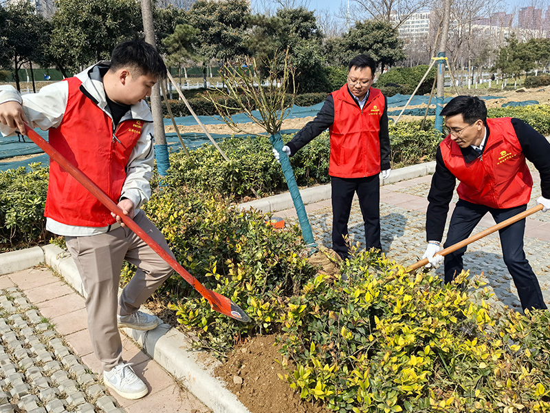 植树节活动