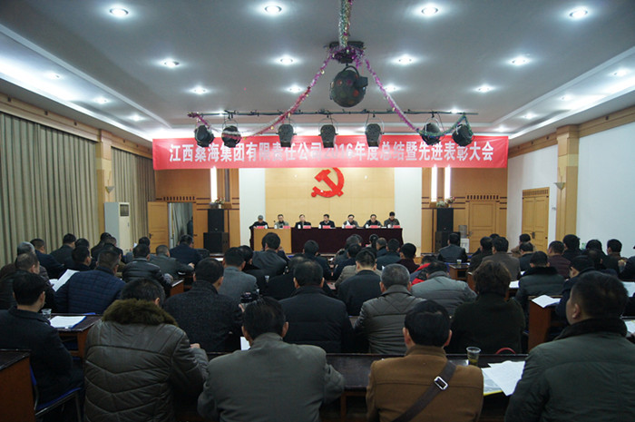 桑海集团召开2016年度总结暨先进表彰大会