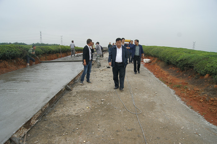 集团领导调研新祺周花园农垦危房改造工程和江夏分场垦区公路建设情况