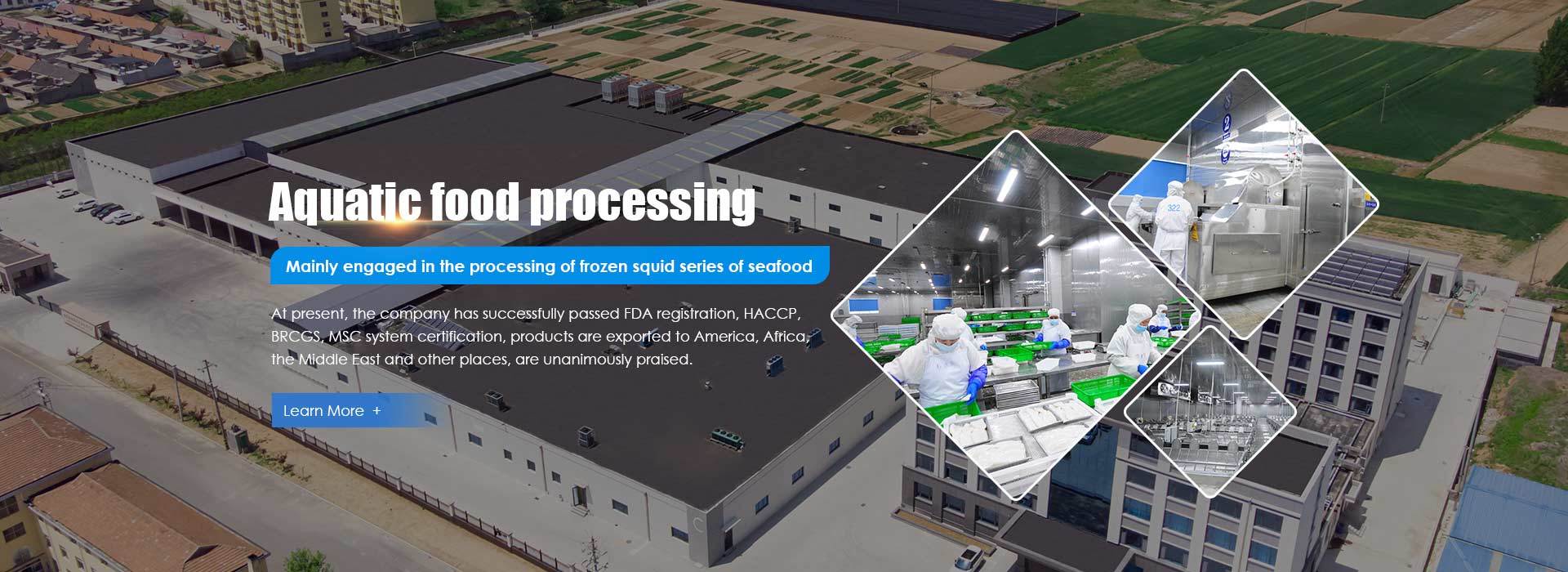 Aquatic food processing