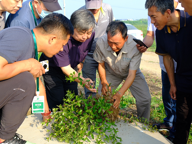 科研基地