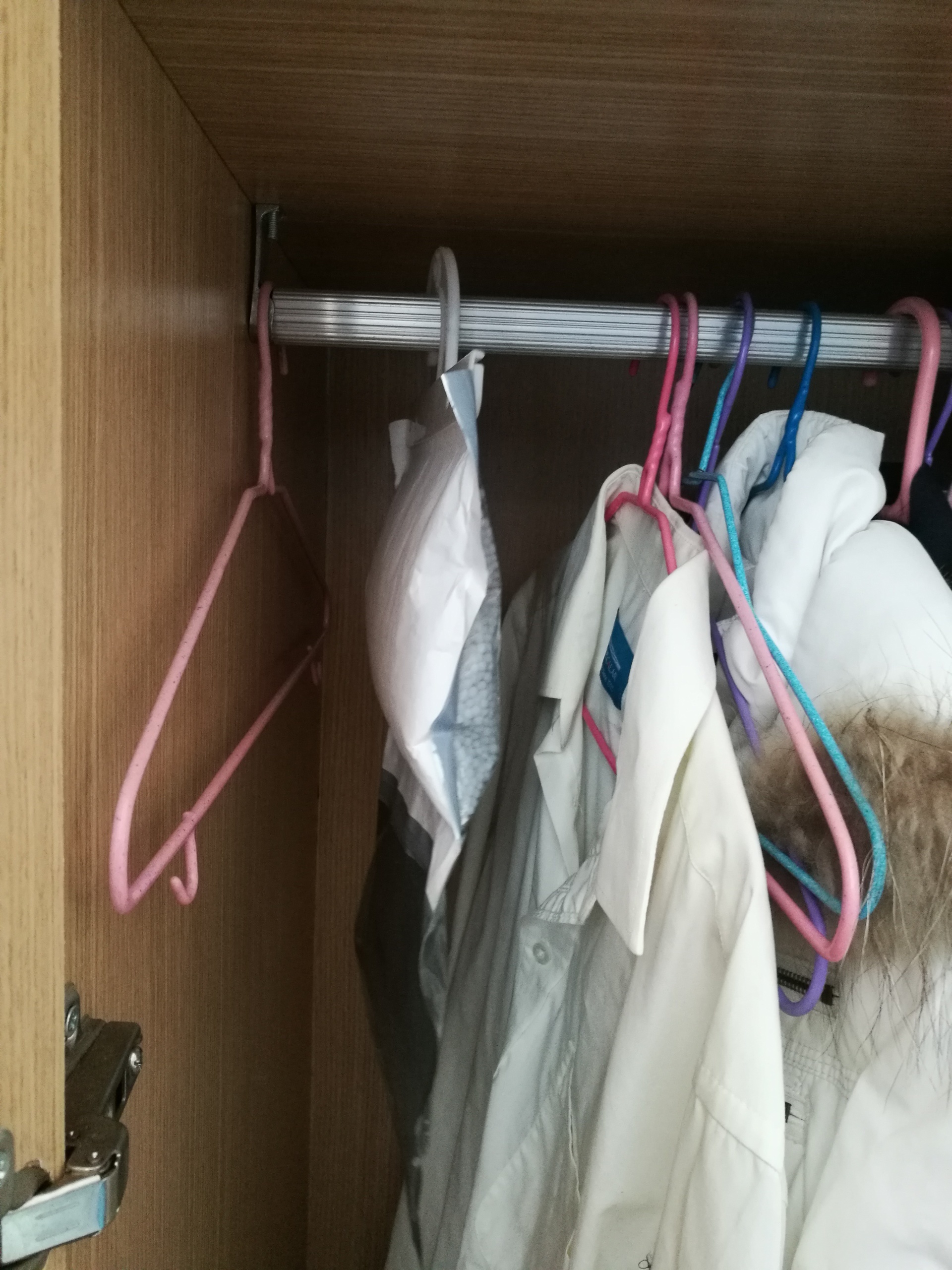 Hanging dehumidifier