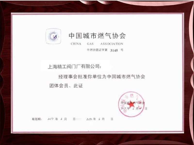 中国城市煤气协会会员证书