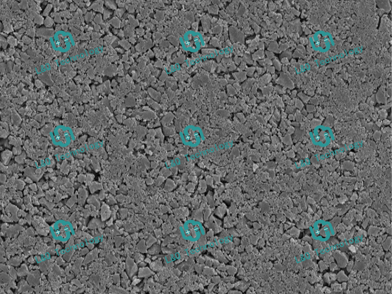Dry Electrode & 1000x SEM Image