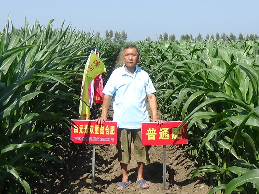 使用案例