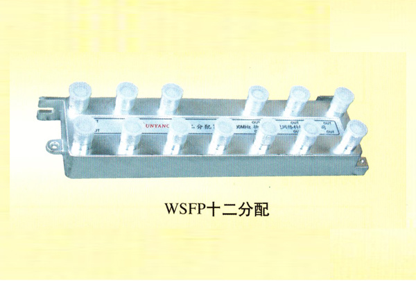 WSFP十二分配