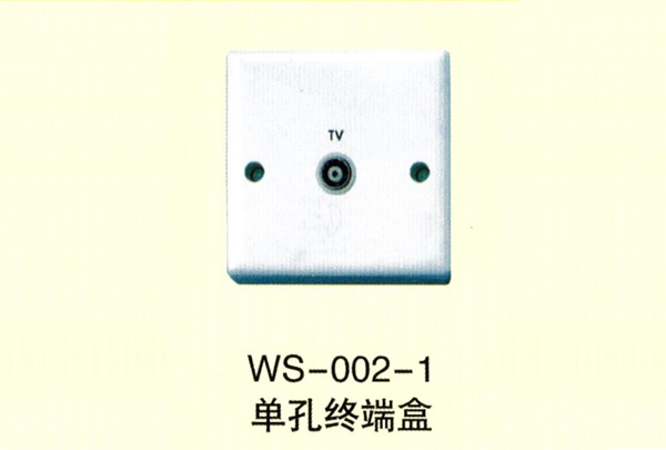 WS-004-01一体化双孔终端盒/WS-005-01一体化双孔终端盒