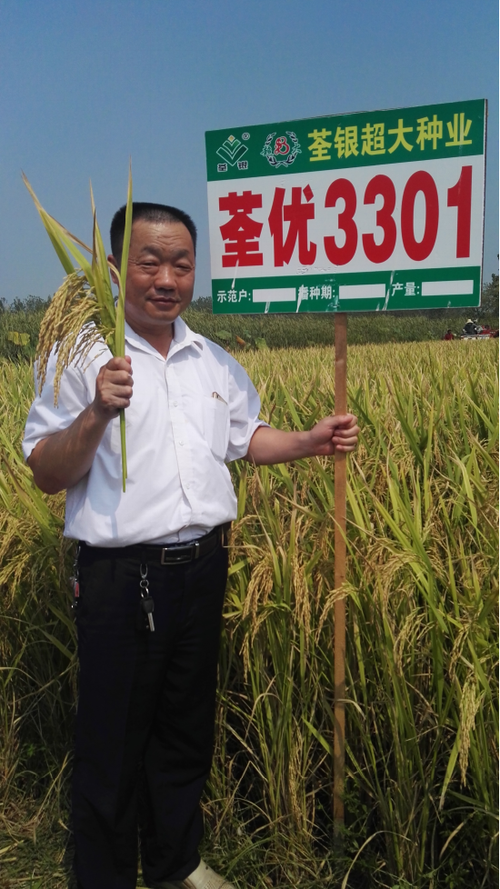 农民心中真正的超级稻：荃优3301！