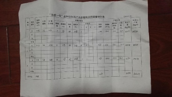 红麦种植进入浩麦时代——池州“浩麦一号”现场会纪实