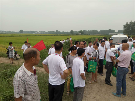 “水稻丰收九月天,荃超新品闹翻天!!——湖北枣阳新品种观摩会