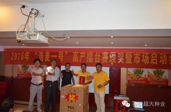 红麦种植进入浩麦时代!!!