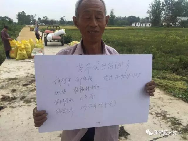 丝苗来袭,直播无敌——荃早优丝苗