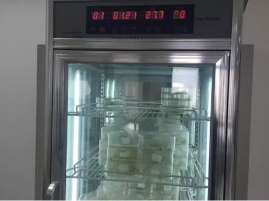 “每斤再降0.1-0.2元!2018年稻谷最低收购价加速催生水稻种植产业新格局...