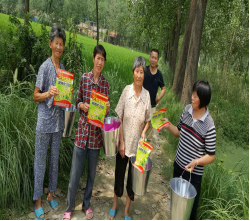 徽两优996—再见你，我又怦然心动