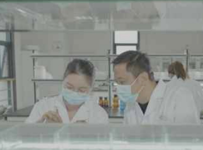 种子质量检验中心 种子质量检验中心