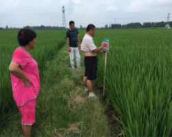 徽两优996—再见你，我又怦然心动