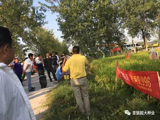 宏图霸业谈笑中,禹王故里定乾坤