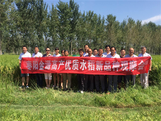 “水稻丰收九月天,荃超新品闹翻天!!——湖北枣阳新品种观摩会