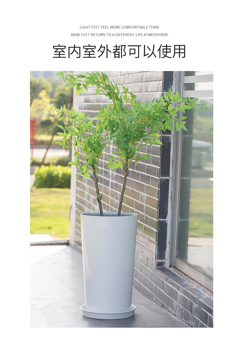 高圓盆