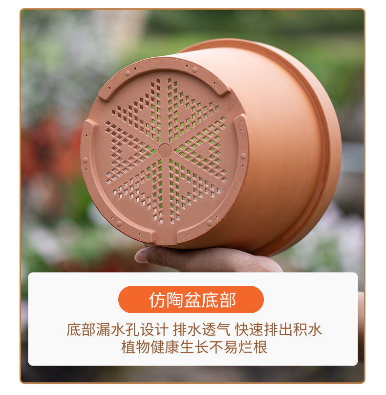 經(jīng)典陶紅盆