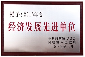 2016年经济发展先进单位