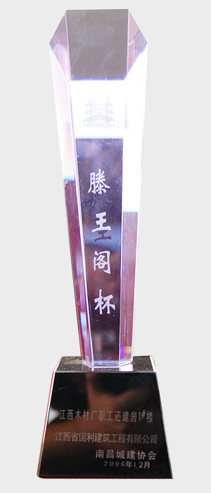 2006年滕王阁杯（江西木材厂职工还建房1#楼）