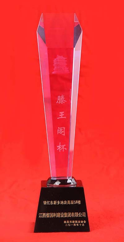 2014年滕王阁杯奖（银亿东新乡地块高层5#）