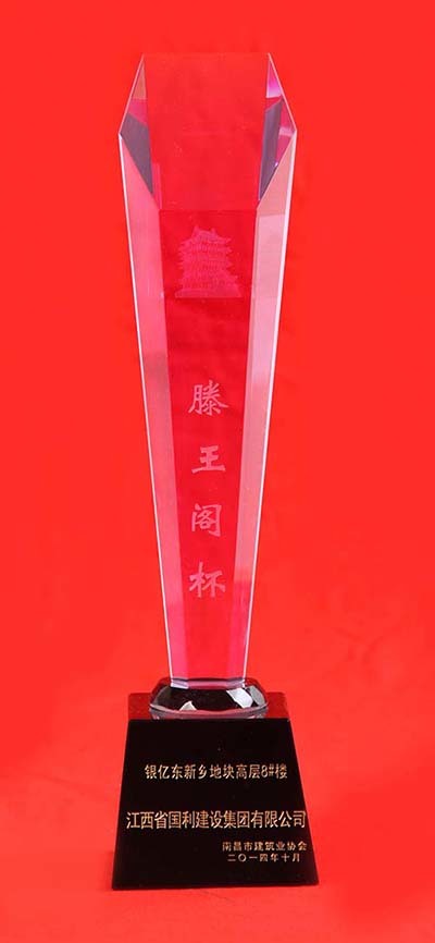 2014年滕王阁杯奖（银亿东新乡地块高层8#）
