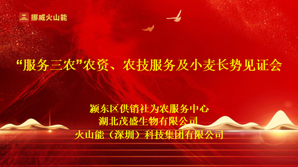 挪威火山能及農(nóng)開泰功能藥肥綠色種植小麥叫響安徽潁東區(qū)