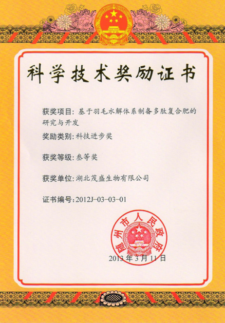 2013пƼǰȽ