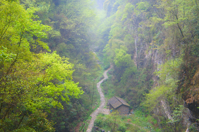 峽谷風光