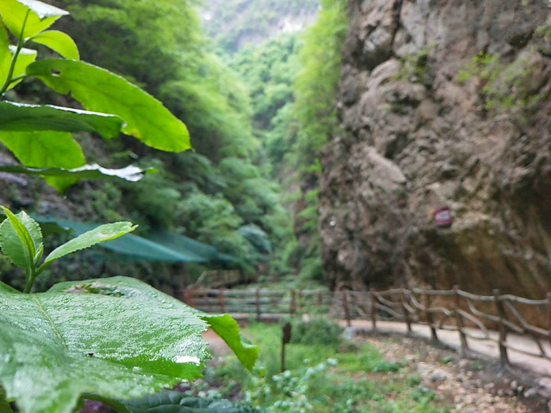 峽口風光