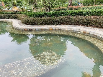 溫泉水
