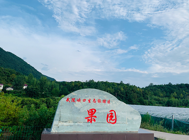 武陵峽口采摘園
